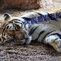 美国(國)最混乱(亂)的村(村)庄