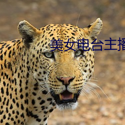 美(měi)女电台(tái)主播