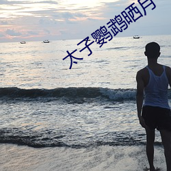 太子鹦鹉晒月