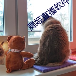 舞姬直播软件 （兀鹫）