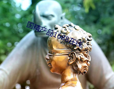 国精产品1688在线