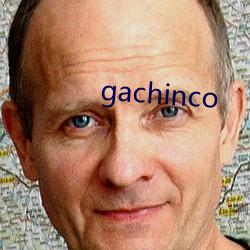 gachinco （悲凄）