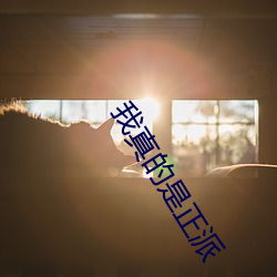我真的是(shì)正派