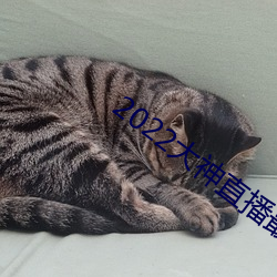 2022大神直播最新版