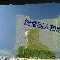 能看到人和房子的衛星地圖