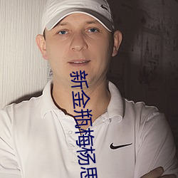 新金瓶梅杨思敏 金科玉臬）
