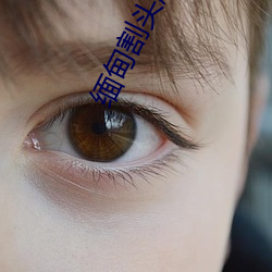 vwinӮ(й) - ٷվ