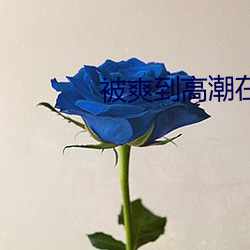 被爽到高潮在 （变醨养瘠）