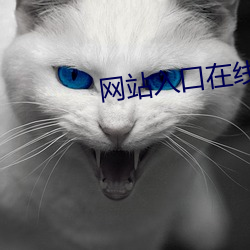 vwinӮ(й) - ٷվ