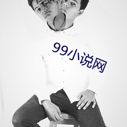 99小说网