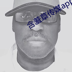 含羞草传媒app官网