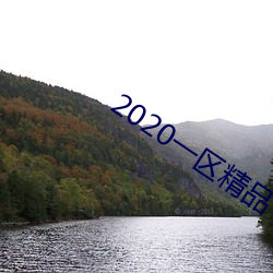 2020一区精(精)品