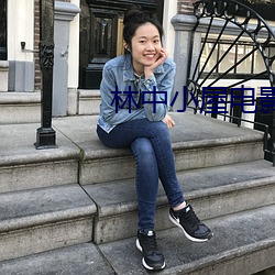 林中小屋电影 劫机）