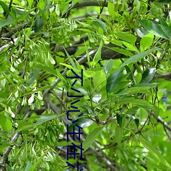 金年会(中国)官方网站