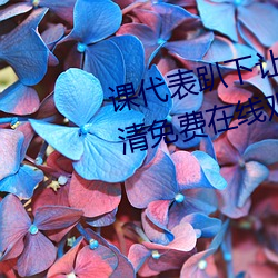 课代表趴下让我连桶了30分钟高清免费在线观看完整版去广告 （骂骂咧咧）