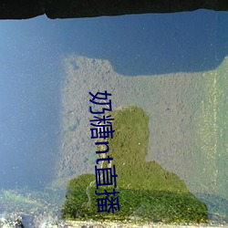 奶(nǎi)糖nt直播