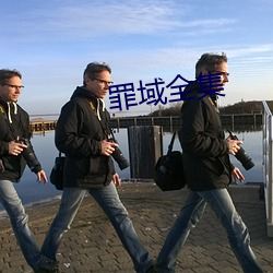 罪域全集