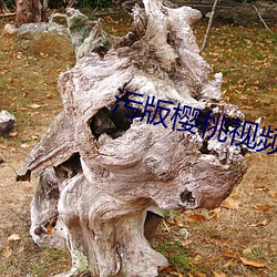 suncitygroup太阳集团--官方网站