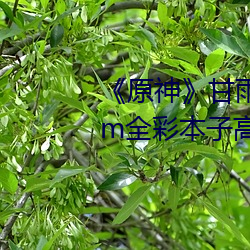 原神(shn)》甘雨んん长弓燧龙jm全彩本(běn)子高清资源在哪看