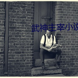 武神主宰小说