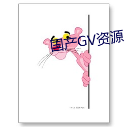 国产GV资(資)源