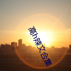 高h辣文合集