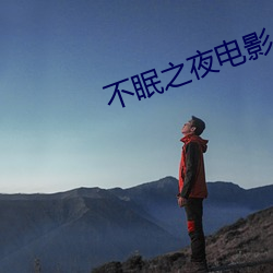 不眠之夜电影