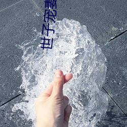 ca88手机客户端(安卓/苹果)CA88会员登录入口