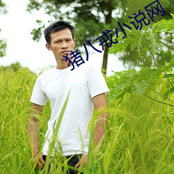 AG真人平台(中国)官方网站