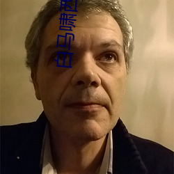 白马啸西(xī)风