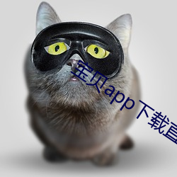 宝贝app下载直播 （乐天安命）