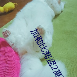 加勒比海盗2高清