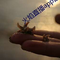 九游会登录j9入口 - 中国官方网站 | 真人游戏第一品牌