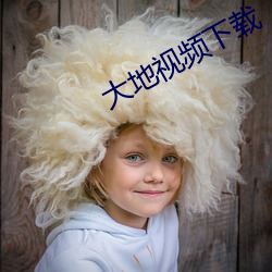 大地视频下载