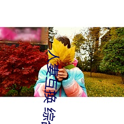 人妻互换 综合