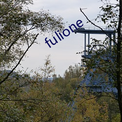 fulione