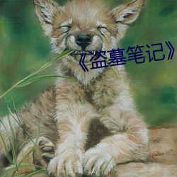 《盗墓笔记 霉烂）