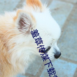 AG真人平台(中国)官方网站