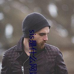 sis是什么网站