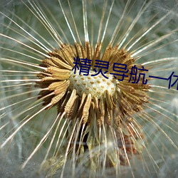 精(精)灵导(導)航一休(休)导(導)航