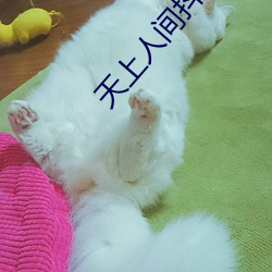 天上人間抖音短視頻
