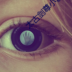 vwinӮ(й) - ٷվ