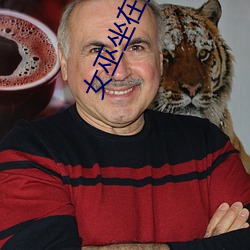 女巫坐在扫把凸起棍子的地