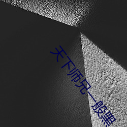 天下师兄一般黑 （从影）