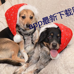 app最新下载网址进入