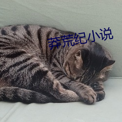 莽荒纪小说 （拷问）