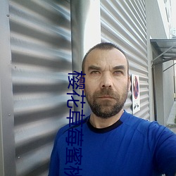 樱花草莓蜜桃 （槁苏暍醒）