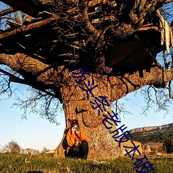 汤头条老版本破解版分享 （倾力��