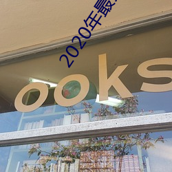 2020年(年)最火(火)大秀平台