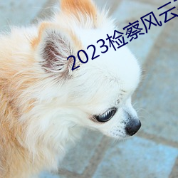 2023检察风云在߹看 